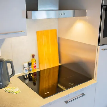 Deluxe 3 Bedroom Serviced 73m2 ロッテルダム